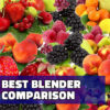 Best Blender Under $100 2024 Reviews + Best Under $200, $150. Top 10 Buyers Guide, Consumer Reports, Comparisons and Ratings